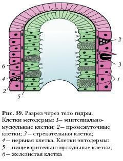 Kra10.cc